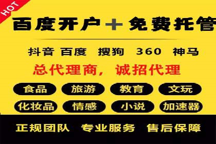 顶级SEM服务公司案例解析